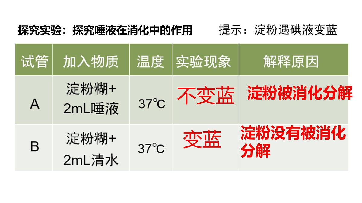 初中 生物 冀少版（2024）七年级下册3.1.3.1 食物的消化和营养物质的吸收 课件2第5页