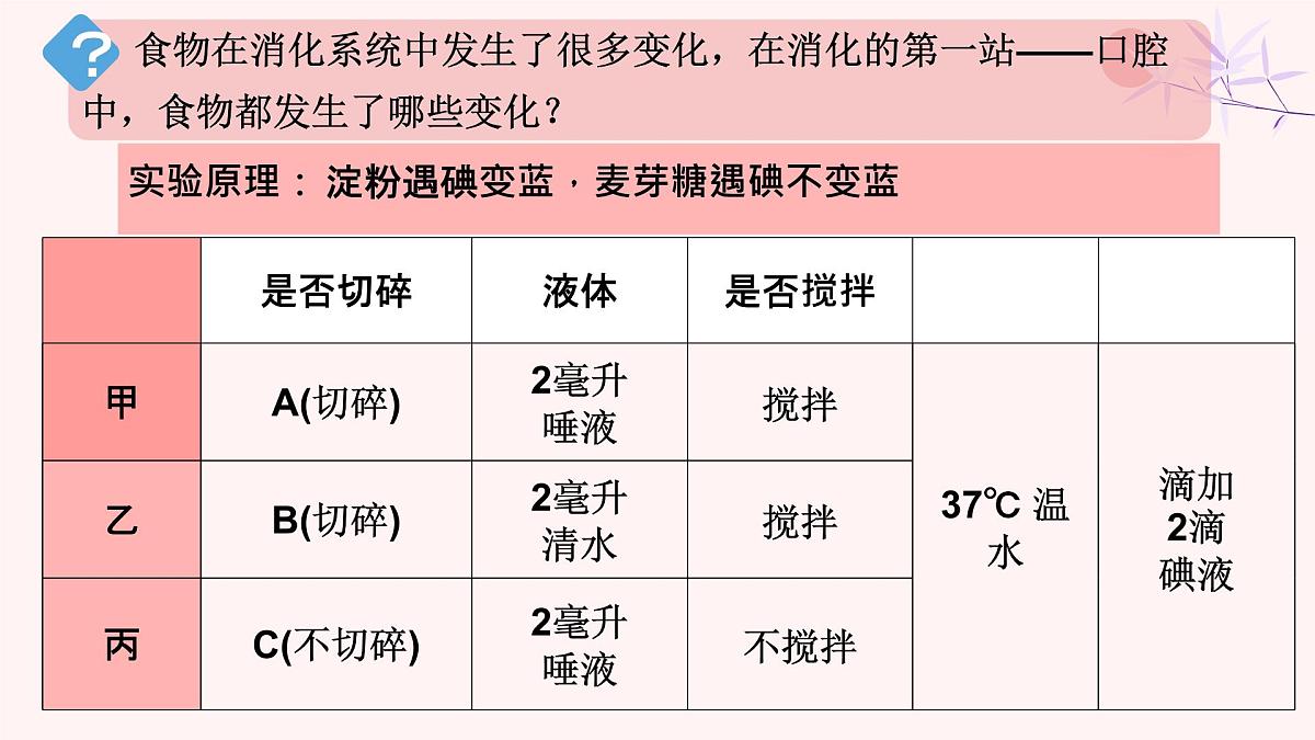 初中  生物 人教版（2024）七年级下册4.2.2 消化和吸收 课件第4页