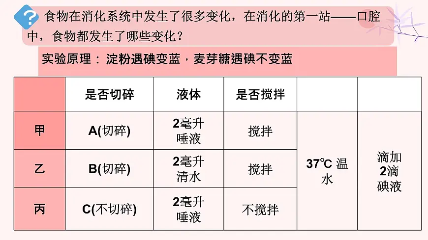 初中 生物 人教版（2024）七年级下册4.2.2 消化和吸收 课件第4页