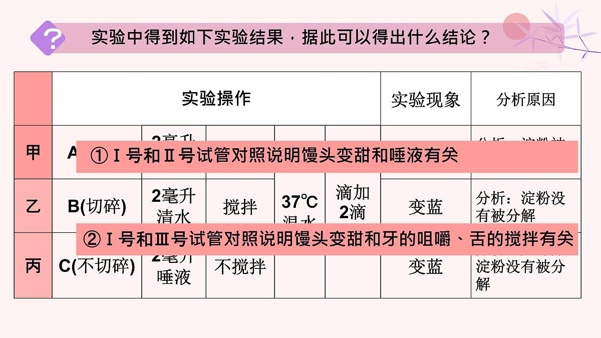 初中  生物 人教版（2024）七年级下册4.2.2 消化和吸收 课件第5页