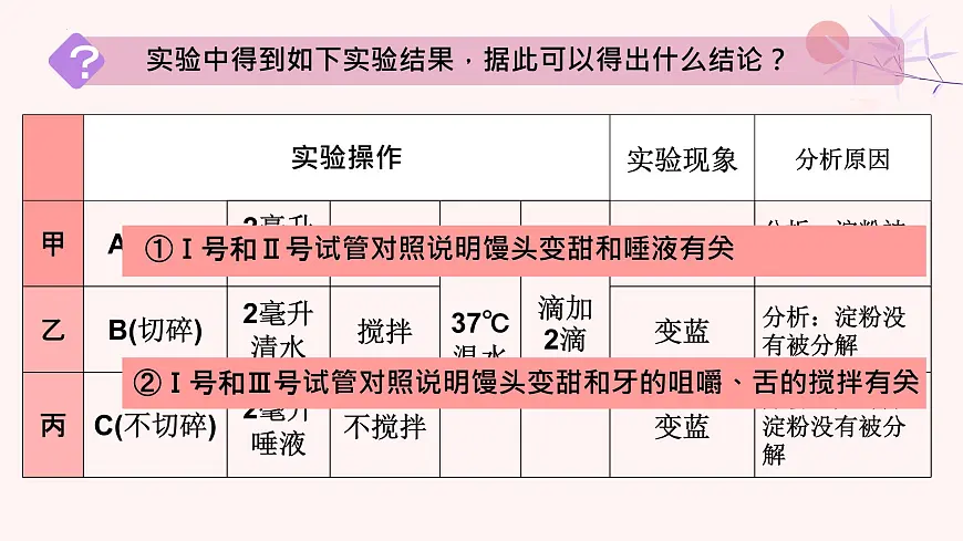 初中 生物 人教版（2024）七年级下册4.2.2 消化和吸收 课件第5页