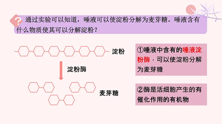 初中 生物 人教版（2024）七年级下册4.2.2 消化和吸收 课件第6页