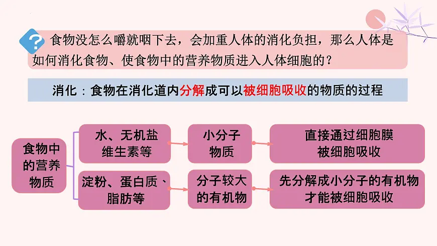 初中 生物 人教版（2024）七年级下册4.2.2 消化和吸收 课件第7页
