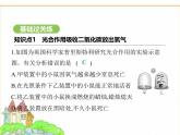 蘇科版七年級(jí)生物下冊(cè)第5單元植物的生活第12章第2節(jié)第1課時(shí)光合作用吸收二氧化碳放出氧氣課件