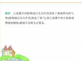 蘇科版七年級(jí)生物下冊(cè)第5單元植物的生活第12章第2節(jié)第1課時(shí)光合作用吸收二氧化碳放出氧氣課件