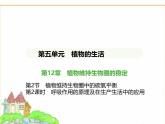 蘇科版七年級(jí)生物下冊(cè)第5單元植物的生活第12章第2節(jié)第2課時(shí)呼吸作用的原理及在生產(chǎn)生活中的應(yīng)用課件
