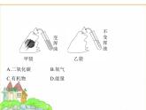 蘇科版七年級(jí)生物下冊(cè)第5單元植物的生活第12章第2節(jié)第2課時(shí)呼吸作用的原理及在生產(chǎn)生活中的應(yīng)用課件