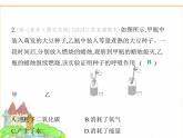 蘇科版七年級(jí)生物下冊(cè)第5單元植物的生活第12章第2節(jié)第2課時(shí)呼吸作用的原理及在生產(chǎn)生活中的應(yīng)用課件
