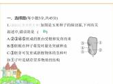 蘇科版七年級生物下冊第5單元植物的生活第11章植物的生命周期素養(yǎng)綜合檢測課件