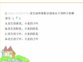 蘇科版七年級生物下冊第5單元植物的生活第11章植物的生命周期素養(yǎng)綜合檢測課件