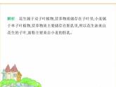 蘇科版七年級生物下冊第5單元植物的生活第11章植物的生命周期素養(yǎng)綜合檢測課件