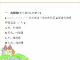 蘇科版七年級生物下冊第5單元植物的生活第12章植物維持生物圈的穩(wěn)定素養(yǎng)綜合檢測課件