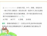 蘇科版七年級生物下冊第5單元植物的生活第12章植物維持生物圈的穩(wěn)定素養(yǎng)綜合檢測課件