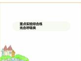 蘇科版七年級生物下冊重點實驗綜合練光合呼吸類課件