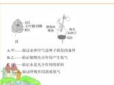 蘇科版七年級生物下冊重點實驗綜合練光合呼吸類課件