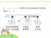 蘇科版七年級生物下冊重點實驗綜合練光合呼吸類課件
