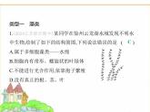 蘇科版七年級生物下冊專項素養(yǎng)綜合練(一)多種多樣的生物課件