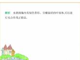 蘇科版七年級生物下冊專項素養(yǎng)綜合練(一)多種多樣的生物課件