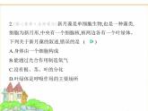 蘇科版七年級生物下冊專項素養(yǎng)綜合練(一)多種多樣的生物課件