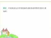 蘇科版七年級生物下冊專項素養(yǎng)綜合練(一)多種多樣的生物課件