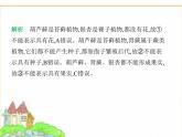 蘇科版七年級生物下冊專項素養(yǎng)綜合練(二)識圖分析課件