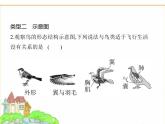 蘇科版七年級生物下冊專項素養(yǎng)綜合練(二)識圖分析課件