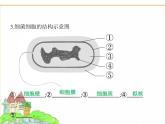 蘇科版七年級生物下冊專項素養(yǎng)綜合練(三)填圖專項課件