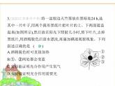 蘇科版七年級生物下冊專項素養(yǎng)綜合練(四)探究實踐課件