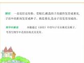 蘇科版七年級生物下冊專項素養(yǎng)綜合練(六)跨學(xué)科專題課件