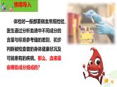 初中  生物  冀少版（2024） 七年級(jí)下冊(cè)3.2.1.1 血液循環(huán)系統(tǒng)的組成 課件
