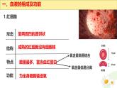 初中  生物  冀少版（2024） 七年級(jí)下冊(cè)3.2.1.1 血液循環(huán)系統(tǒng)的組成 課件