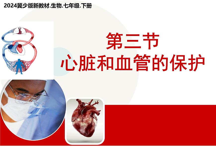 初中  生物  冀少版（2024） 七年级下册3.2.3 心脏和血管的保护 课件第1页
