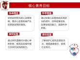 初中  生物  冀少版（2024） 七年級下冊3.2.3 心臟和血管的保護(hù) 課件