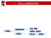 初中  生物  冀少版（2024） 七年級下冊3.2.3 心臟和血管的保護(hù) 課件