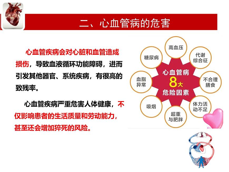 初中  生物  冀少版（2024） 七年级下册3.2.3 心脏和血管的保护 课件第5页