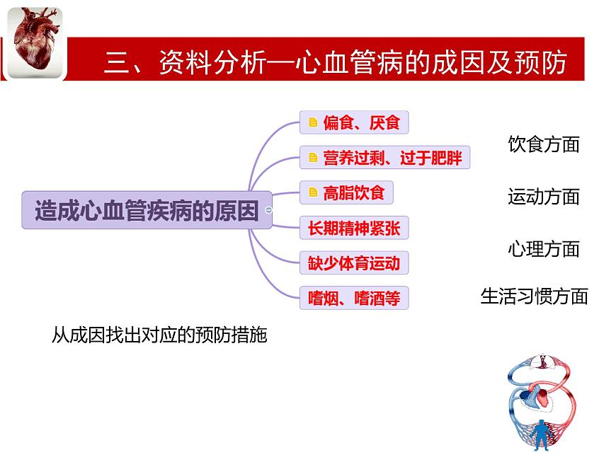 初中  生物  冀少版（2024） 七年级下册3.2.3 心脏和血管的保护 课件第6页