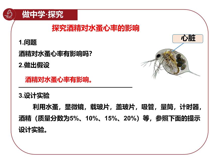 初中  生物  冀少版（2024） 七年级下册3.2.3 心脏和血管的保护 课件第8页