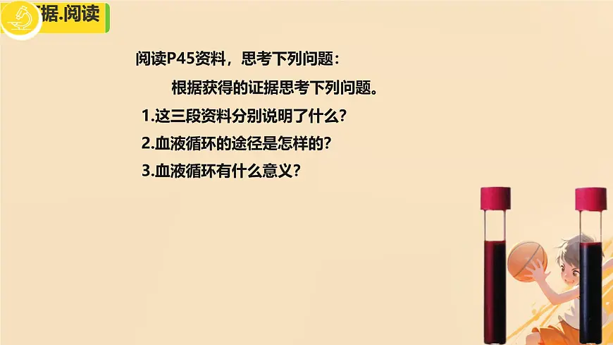 初中 生物 冀少版（2024） 七年级下册3.2.2 血液循环的途径和功能 课件第3页