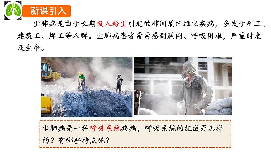 初中 生物 冀少版（2024）七年级下册3.3.1 呼吸系统的组成 课件第2页