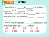 初中 生物 冀少版（2024）七年級(jí)下冊(cè)3.3.1 呼吸系統(tǒng)的組成 課件