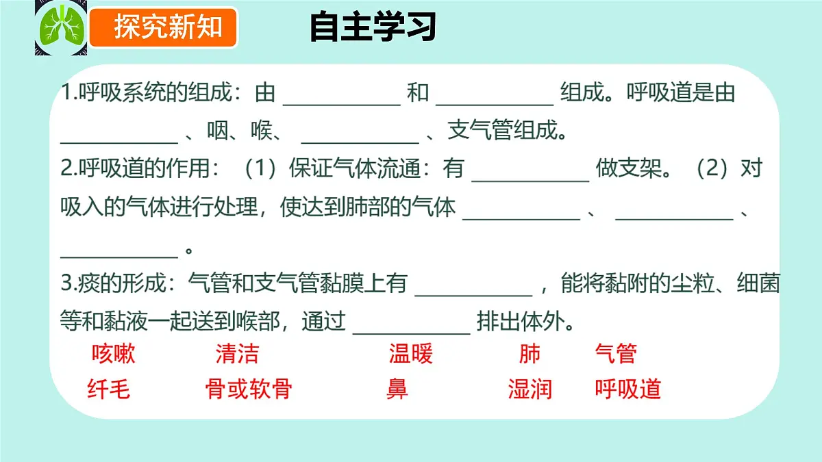 初中 生物 冀少版（2024）七年级下册3.3.1 呼吸系统的组成 课件第4页