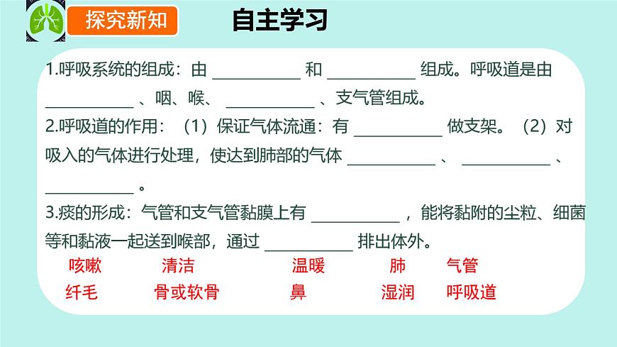 初中 生物 冀少版（2024）七年级下册3.3.1 呼吸系统的组成 课件第4页