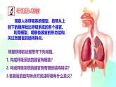初中 生物 冀少版（2024）七年級(jí)下冊(cè)3.3.1 呼吸系統(tǒng)的組成 課件2