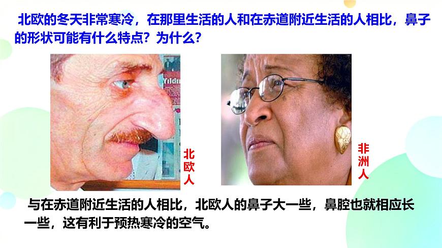 初中 生物 冀少版（2024）七年级下册3.3.1 呼吸系统的组成 课件2第6页