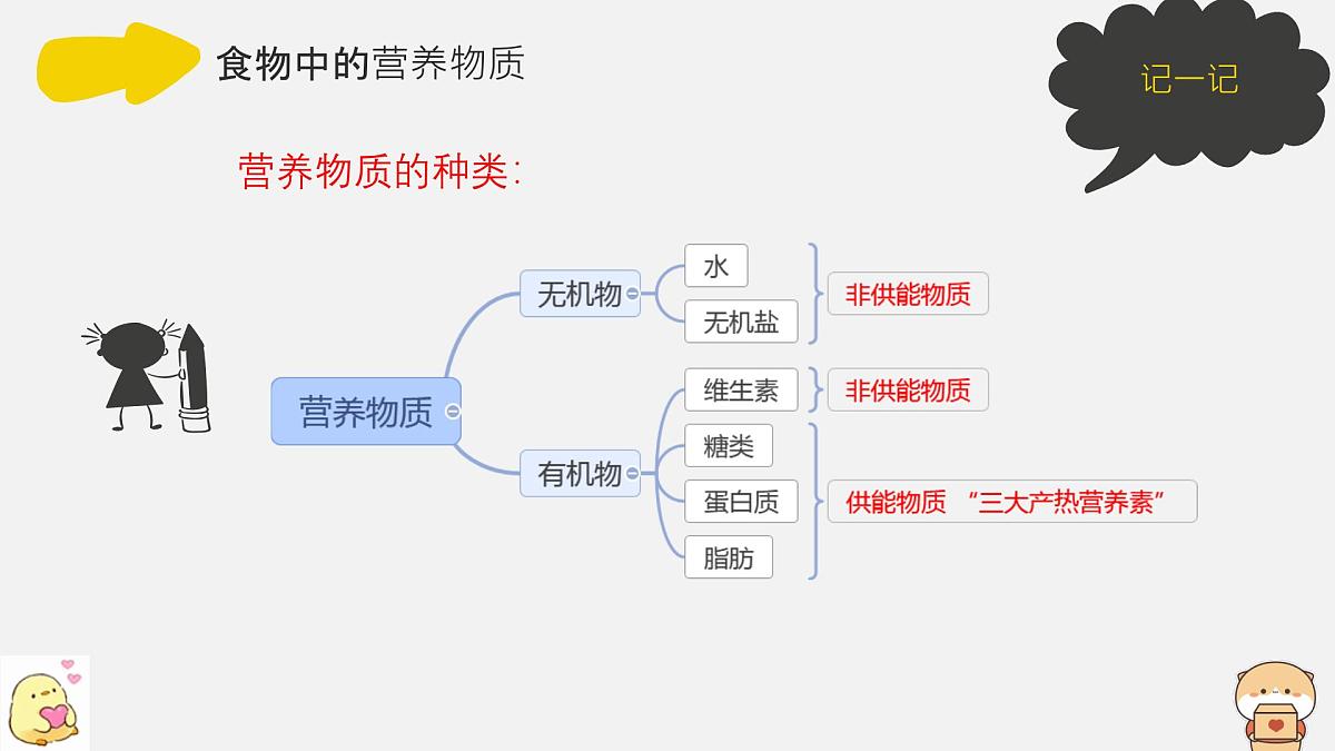 初中 生物北师大版（2024）七年级下册4.6.1 人类的食物 课件第5页