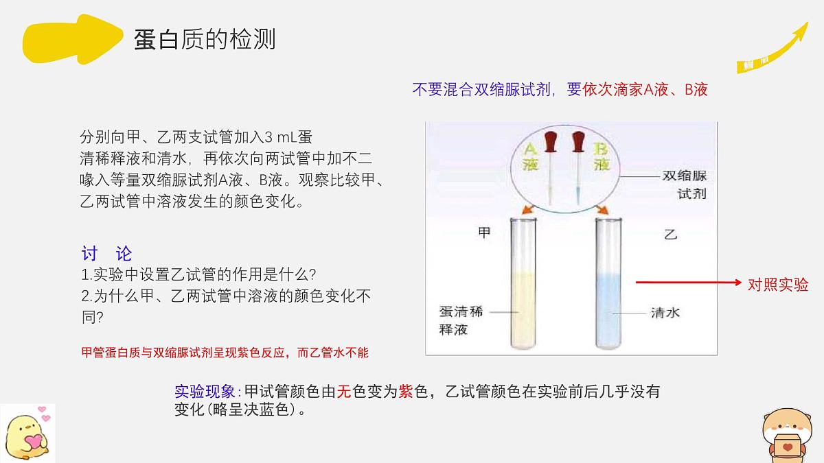 初中 生物北师大版（2024）七年级下册4.6.1 人类的食物 课件第7页