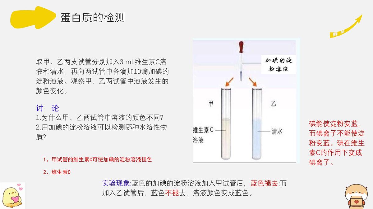 初中 生物北师大版（2024）七年级下册4.6.1 人类的食物 课件第8页