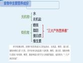 初中 生物 北師大版（2024）七年級(jí)下冊(cè)4.6.1 人類的食物 課件