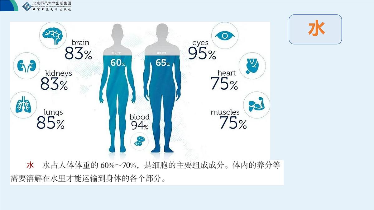 初中 生物 北师大版（2024）七年级下册4.6.1 人类的食物 课件第3页