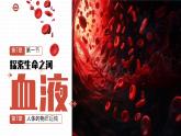 初中 生物 北師大版（2024）七年級(jí)下冊(cè)4.7.1 血液 課件